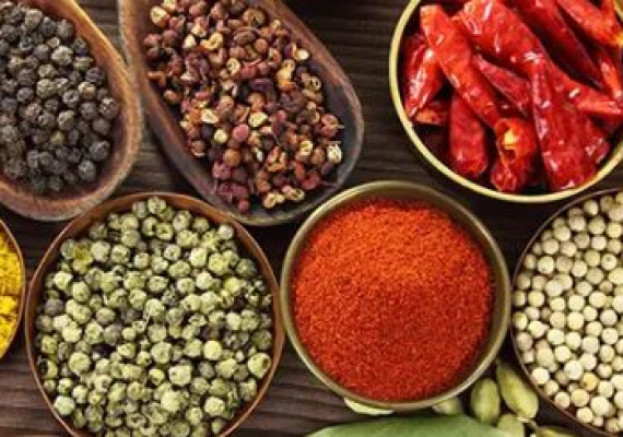 Wok To Go Antwerpen Horeca Crowdfunding 50.JPG